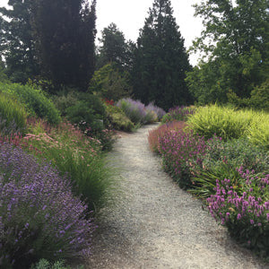 Design a Garden Path