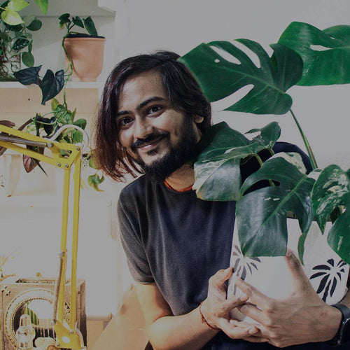 Happy Man holding houseplant Monstera deliciosa in apartment with other houseplants in the background