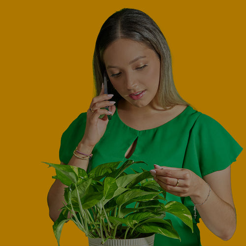 Image of woman in a green shirt against a green background talking on the telephone with a golden pothos houseplant in front of her
