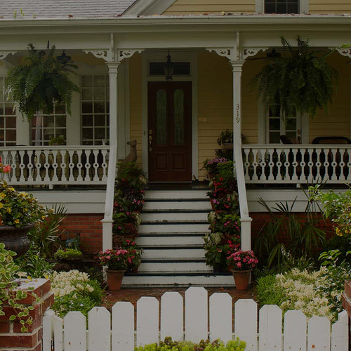 Front yard of yellow house with front porch and potted plants --- including Impatiens and Caladium --- in planters on porch steps; Macho Ferns hanging in baskets on porch and a white picket gate