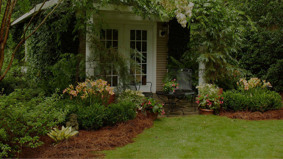 Backyard landscape with mulched border and lawn; border has hosta, boxwood, daylily, and other garden plants