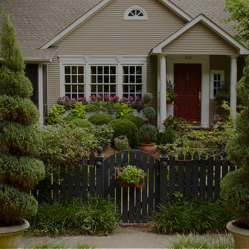 Front yard of a house with a fence, potted topiaries, window boxes, and other garden plants