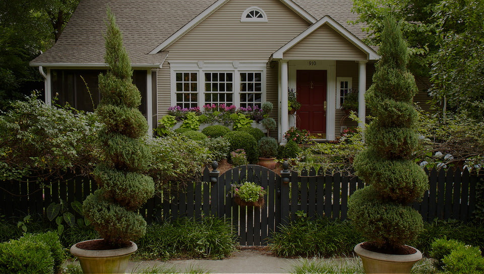 Front yard of a house with a fence, potted topiaries, window boxes, and other garden plants
