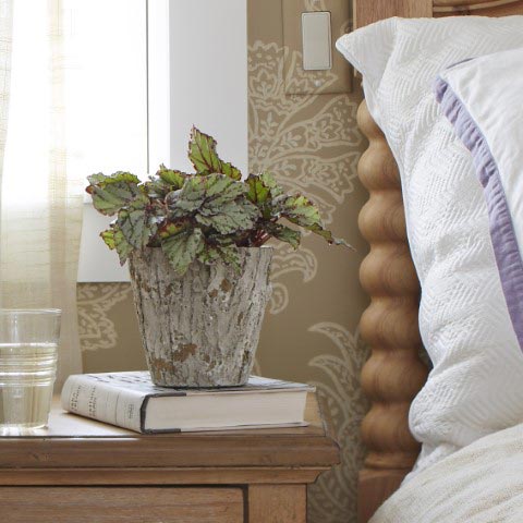 January Gardening Tips