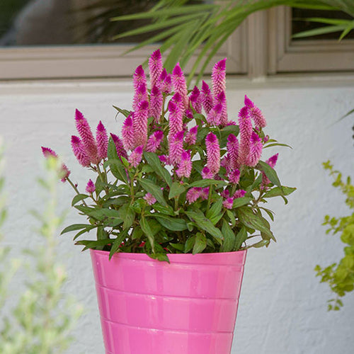 Shades of Summer: Decorate for the Season