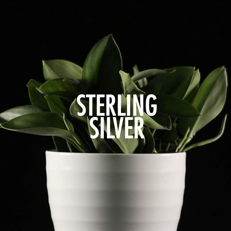 Sterling_Silver_Cap_Pre.jpg