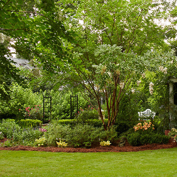 Design Ideas for a Shaded Backyard