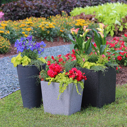 Cool Container Gardens from the Costa Farms Team