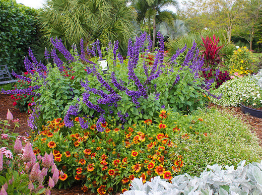 Easy Care Garden Ideas