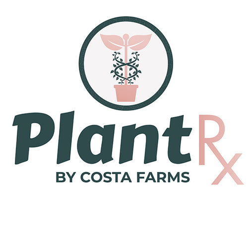 Plant Rx Houseplant Podcast