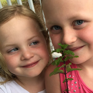 10 Plants Kids Can't Resist