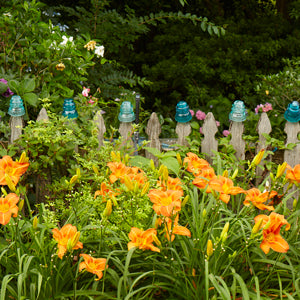 10 Perennials for Dazzling Curb Appeal
