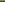 Maze Plant