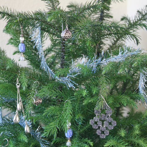 Norfolk Island Pine Care: The Complete Growing Guide