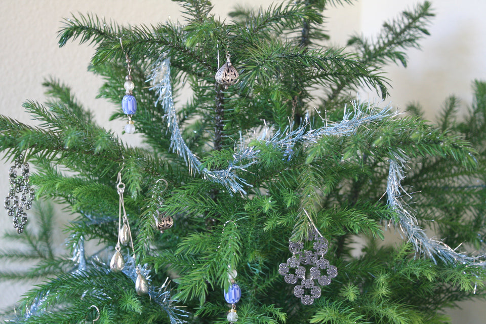 Norfolk Island Pine Care: The Complete Growing Guide