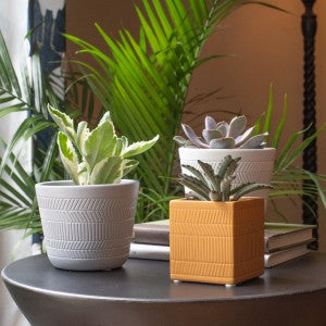 New for 2022: Houseplant Containers