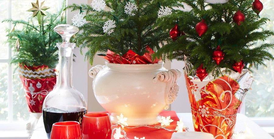 Festive Houseplant Centerpieces for the Holidays