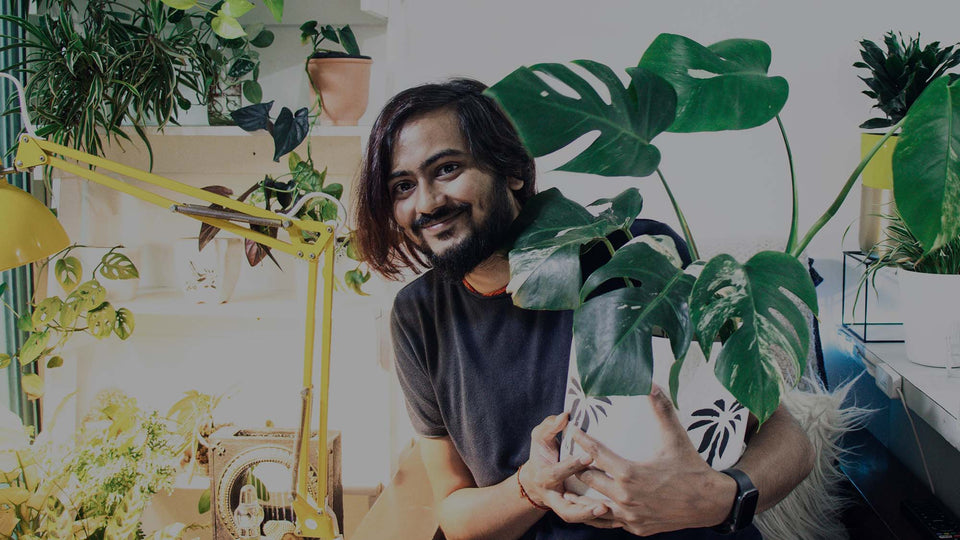 Happy Man holding houseplant Monstera deliciosa in apartment with other houseplants in the background