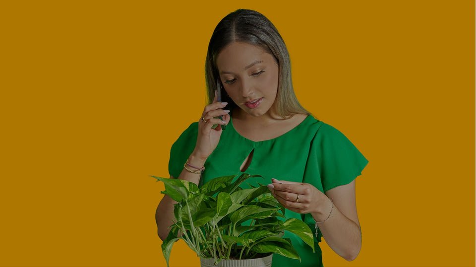 Image of woman in a green shirt against a green background talking on the telephone with a golden pothos houseplant in front of her