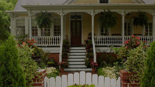 Front yard of yellow house with front porch and potted plants --- including Impatiens and Caladium --- in planters on porch steps; Macho Ferns hanging in baskets on porch and a white picket gate