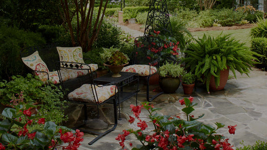 Small shaded flagstone patio with metal patio furniture, pots of red Begonias and Asparagus Ferns