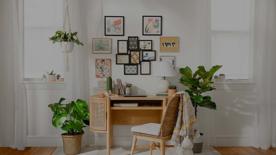Houseplant Design Tips for Every Space