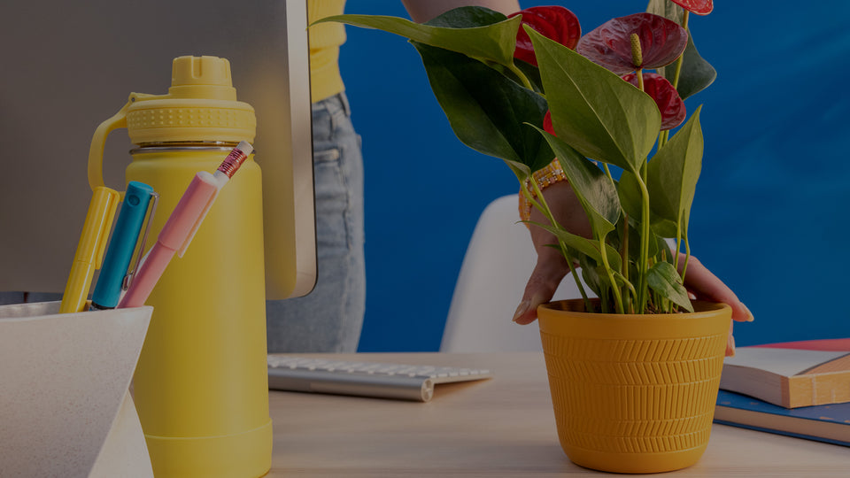 Desk with computer, yellow water bottle, and Red Anthurium houseplant in a terra-cotta decorative pot