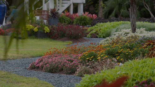 Image of the Costa Farms Trial Garden with winding gray gravel path and golden sweet potato vine, zinnia, pink verbena, yellow osteospermum, and other plants next to a green lawn with a white gazebo in the background