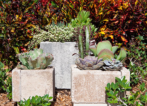How to Make a Planter with Pavers