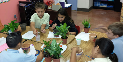 Share Houseplants with Kids in Your Life