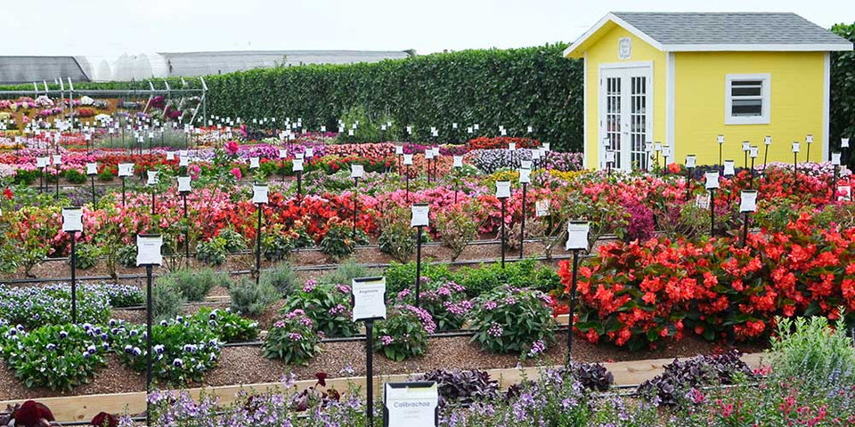 Visit Our Trial Garden!