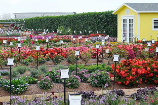 Visit Our Trial Garden!