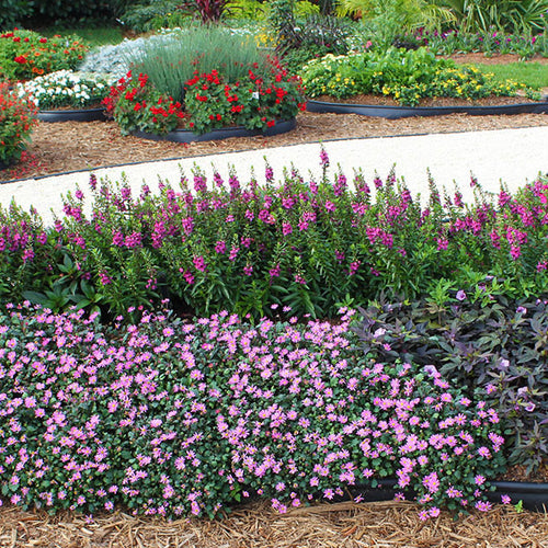 Pink Garden Ideas