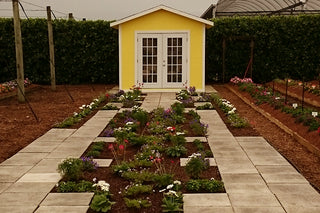 Costa Farms Trial Garden Winter Open House