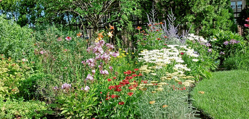 Perennial Garden Design Tip