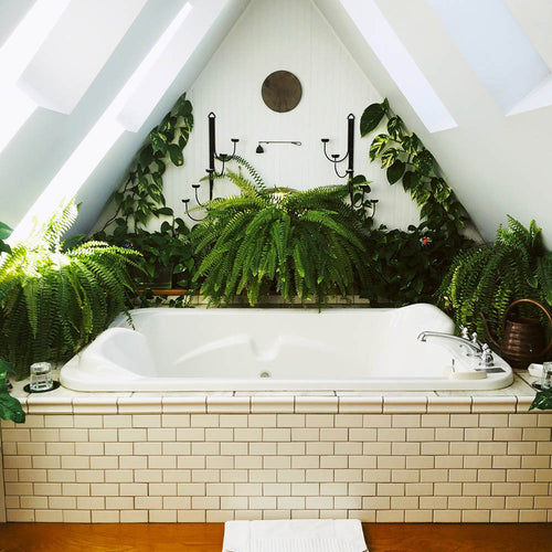 Bring the Outdoors In: Decorate Your Bath with Plants