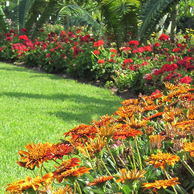 A Gardener's Guide to Fertilizer