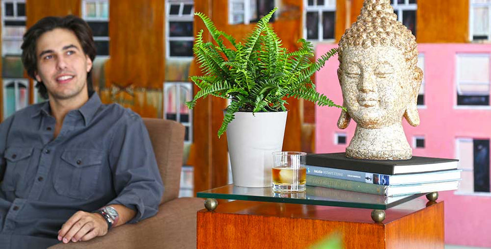 5 Reasons a Real Plant Is for You