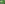 Dixie Wood Fern