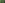 Create a Wall of Ferns for Privacy
