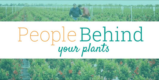 Grower Profile: Mike Rimland