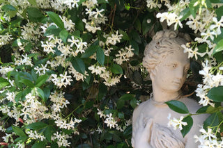 Give Your Garden a Focal Point