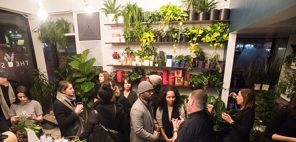 Houseplant Appreciation Day