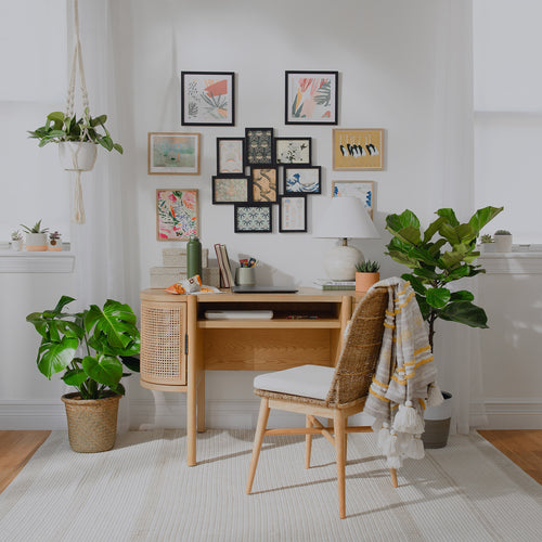 Houseplant Design Tips for Every Space