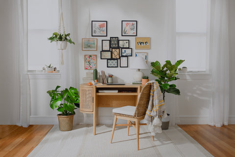 Houseplant Design Tips for Every Space