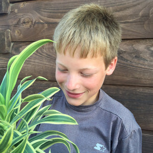 11 Reasons Why a Houseplant Should be Your Kid's First Pet