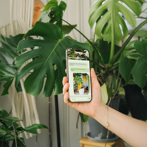 Meet Planta: Personalized Plant Care in Your Pocket