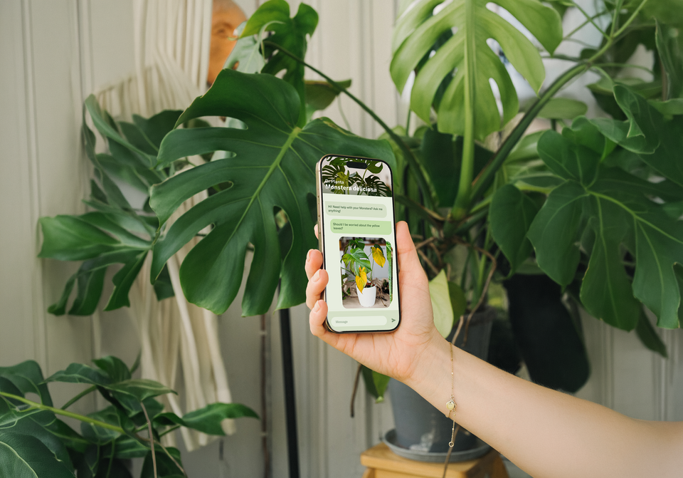 Meet Planta: Personalized Plant Care in Your Pocket