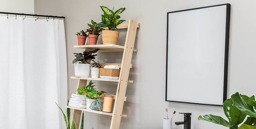 DIY Together - Lush Ladder – Costa Farms
