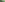 Mondo Grass